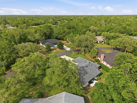 Tiny photo for 7 Salvia Court W, Homosassa, FL 34446 (MLS # TB8508005)
