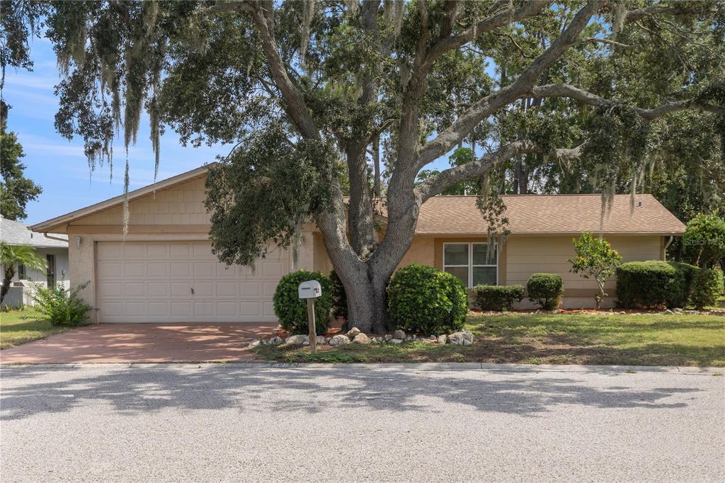 Photo of 4431 Mitcher Road, New Port Richey, FL 34652 (MLS # TB8420052)