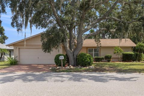 Photo of 4431 Mitcher Road, New Port Richey, FL 34652 (MLS # TB8420052) Photo of 4431 Mitcher Road, New Port Richey, FL 34652 (MLS # TB8420052)