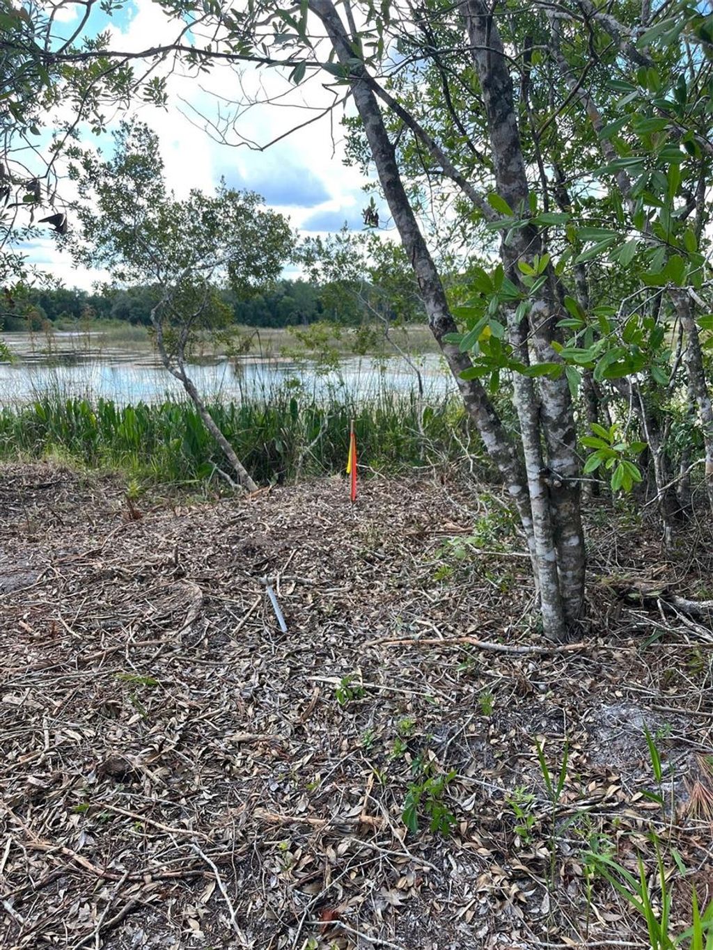 Photo of 7123 Glenchester Drive, Webster, FL 33597 (MLS # O6192115)