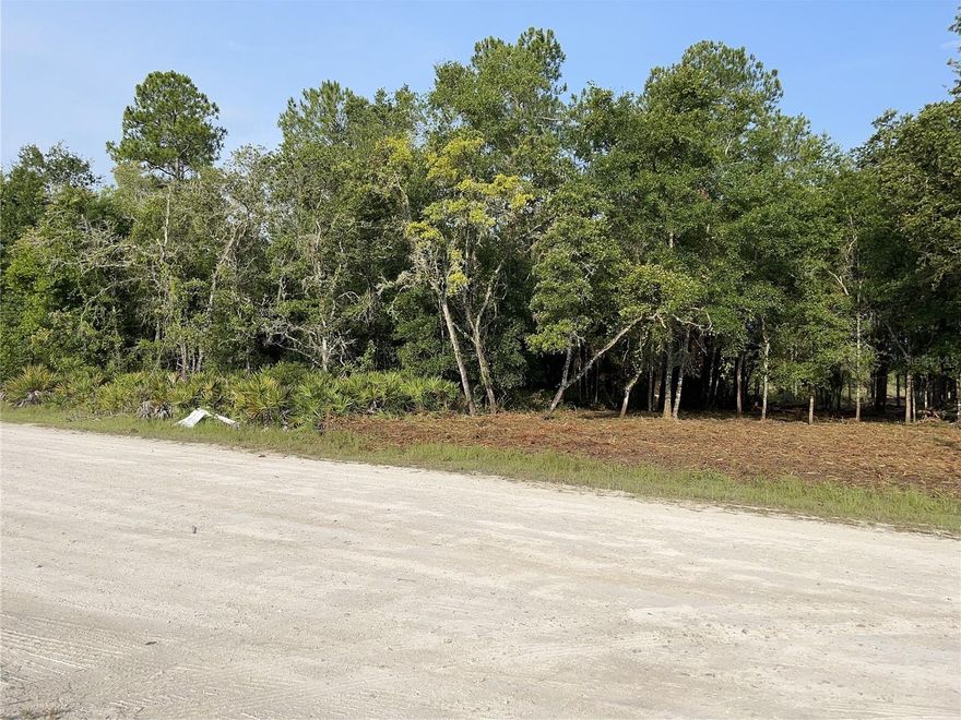 Be the first to see this waterfront lot with water access to Long Lake! This lot has been partially cleared with a driveway added. At just under an acre, you can build your dream lake house or enjoy a quiet fishing spot with friends and family.