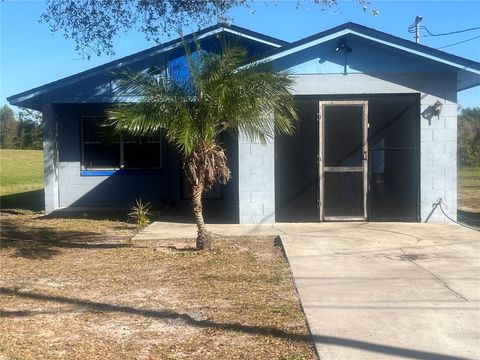 A home in MOUNT DORA