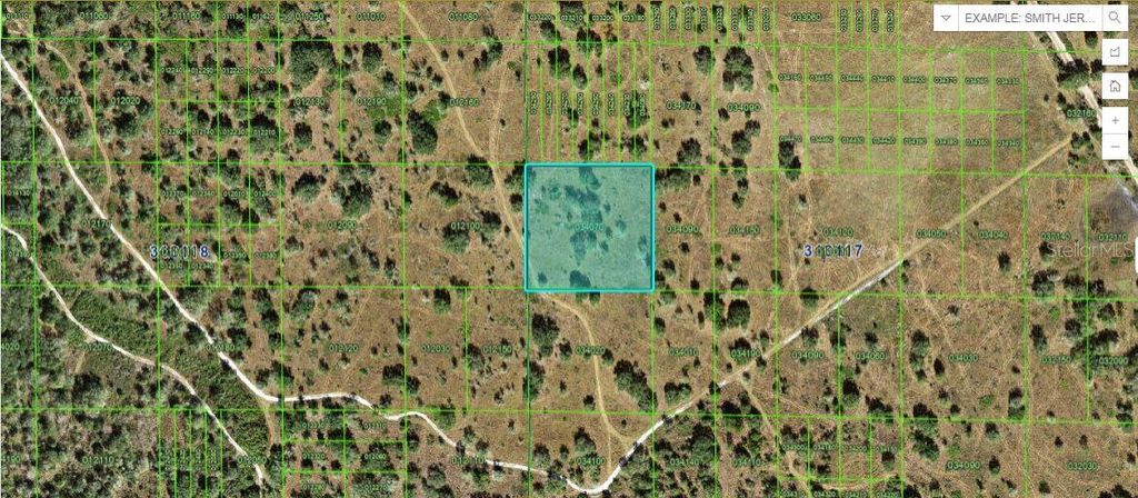 Photo of River Ranch Boulevard, Lake Wales, FL 33898 (MLS # O6267166)