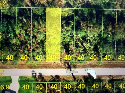 27042 & 27046 PASADENA DRIVE PUNTA GORDA FL 33955