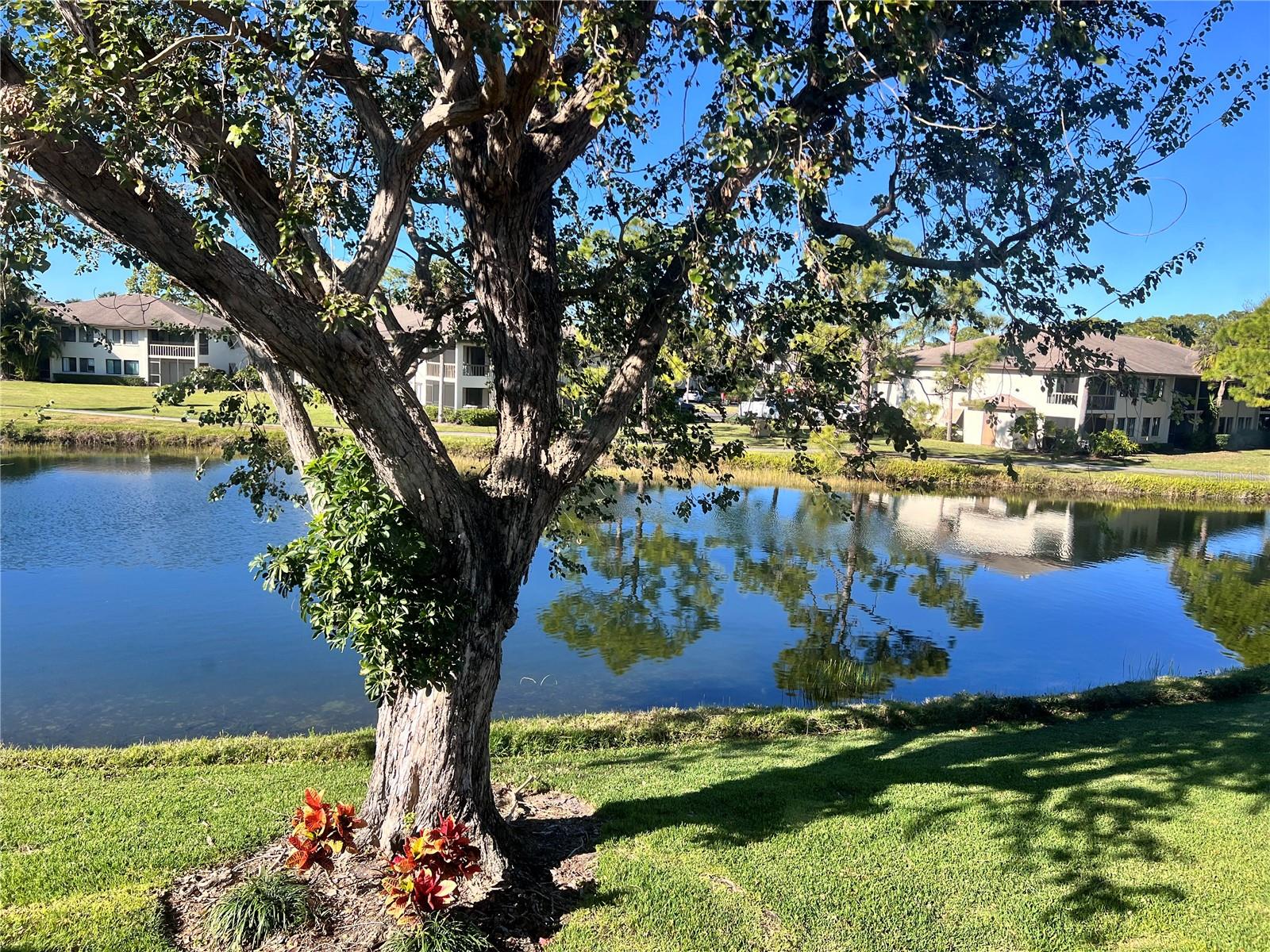 VILLAGE LAKE - Residential