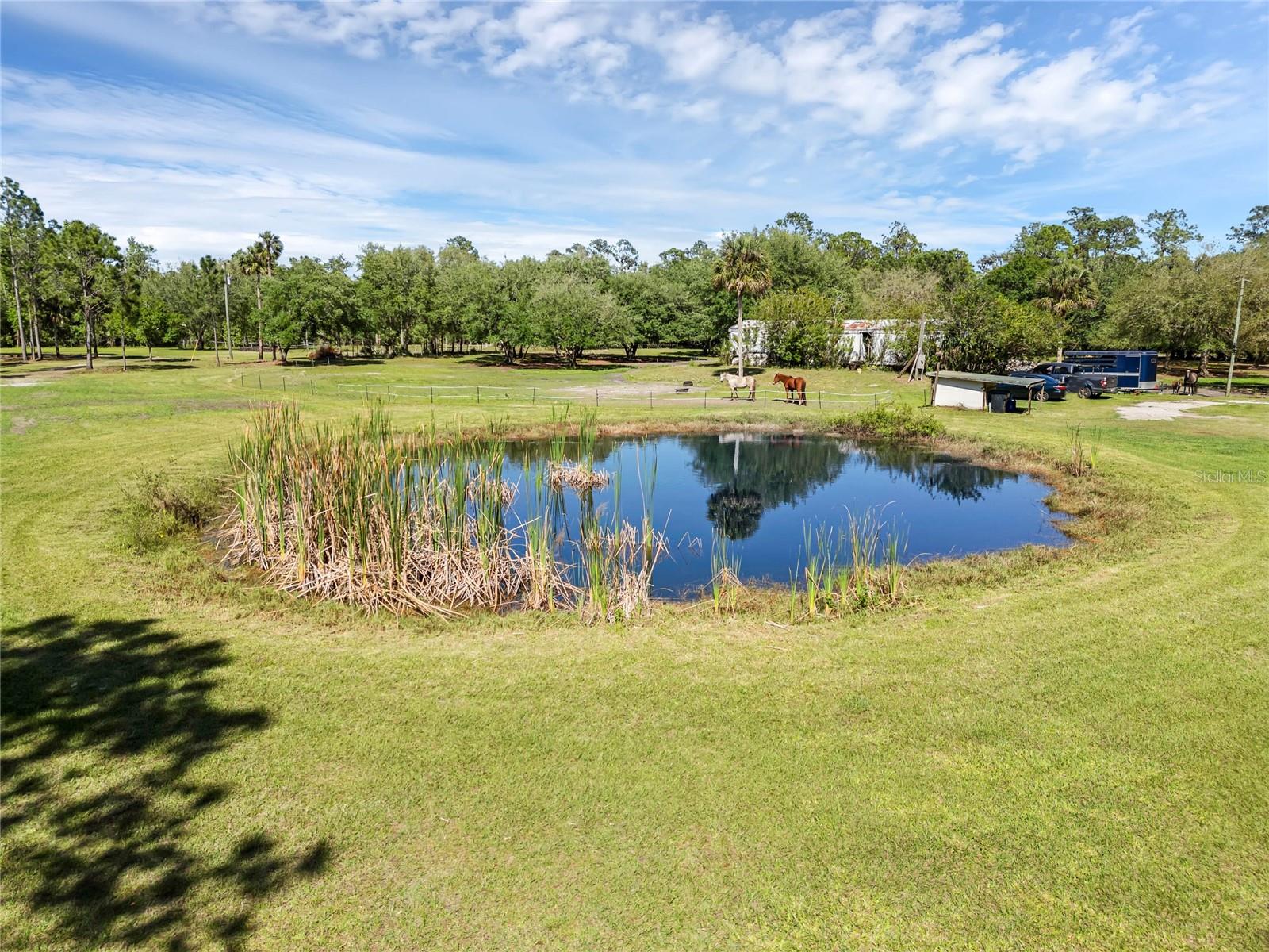 OSCEOLA BLUFF SOUTH 5 ACRE DEV 86 PARCELS - Residential