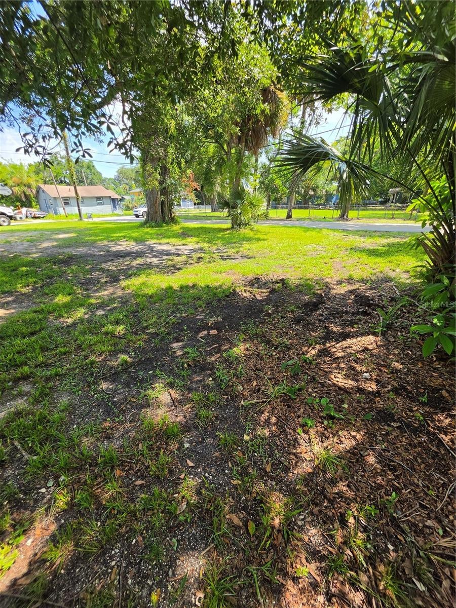 547 LIVE OAK AVENUE