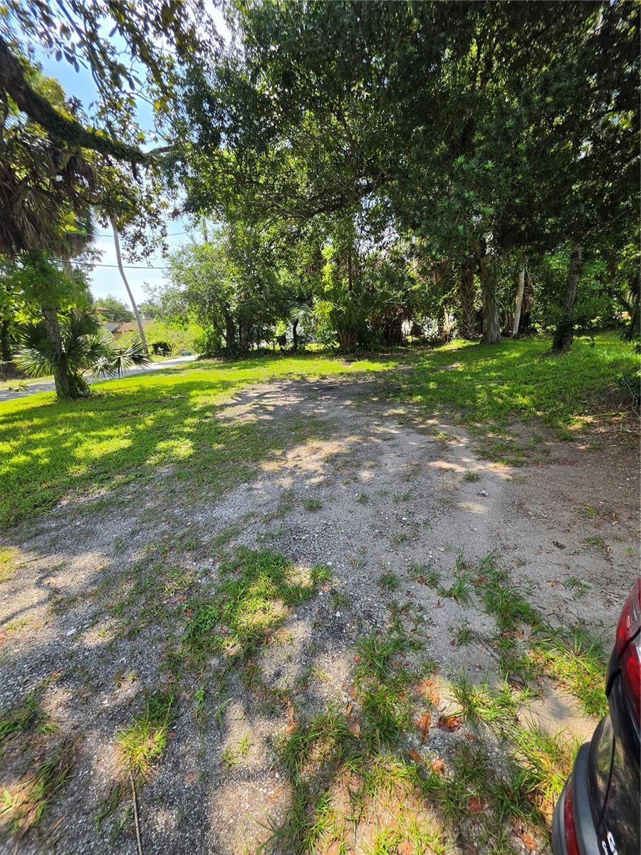 547 LIVE OAK AVENUE