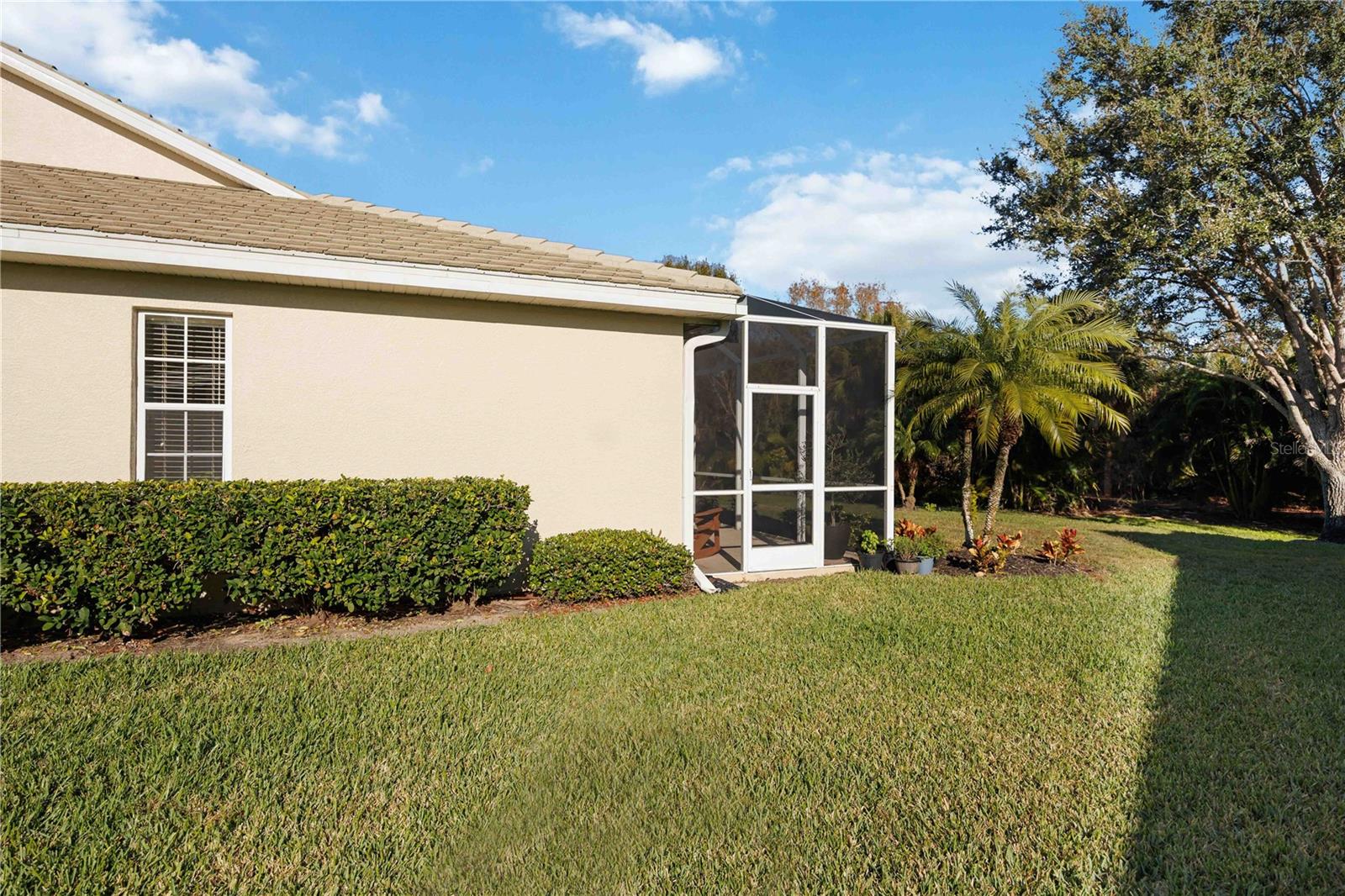 CAMBRIDGE MEWS OF ST ANDREWS - Residential