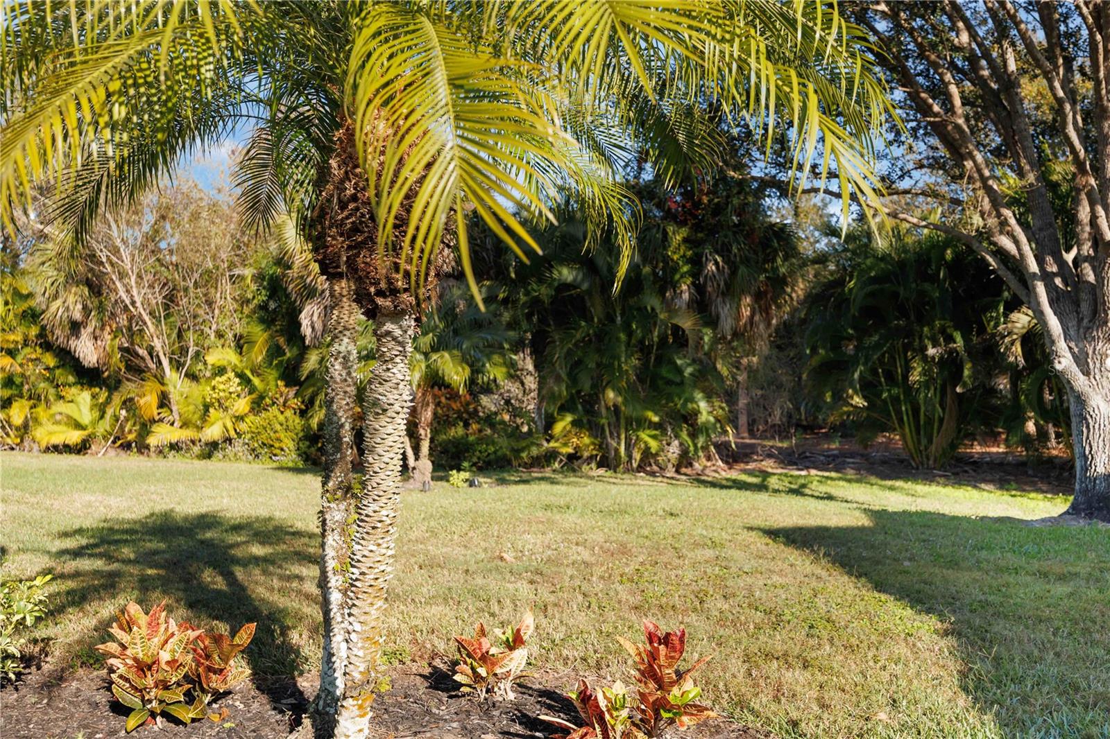 CAMBRIDGE MEWS OF ST ANDREWS - Residential