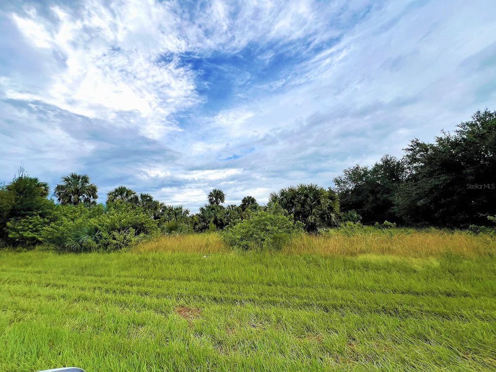 Photo of 20052 Kenilworth Boulevard, Port Charlotte, FL 33954 (MLS # TB8310375)
