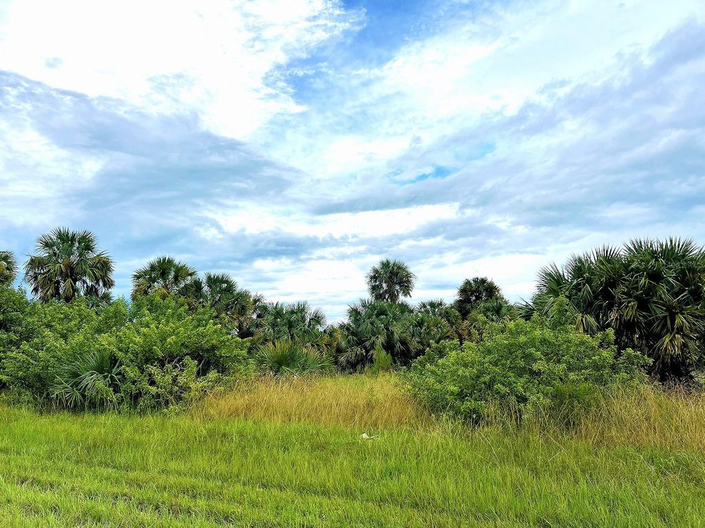 Photo of 20052 Kenilworth Boulevard, Port Charlotte, FL 33954 (MLS # TB8310375)