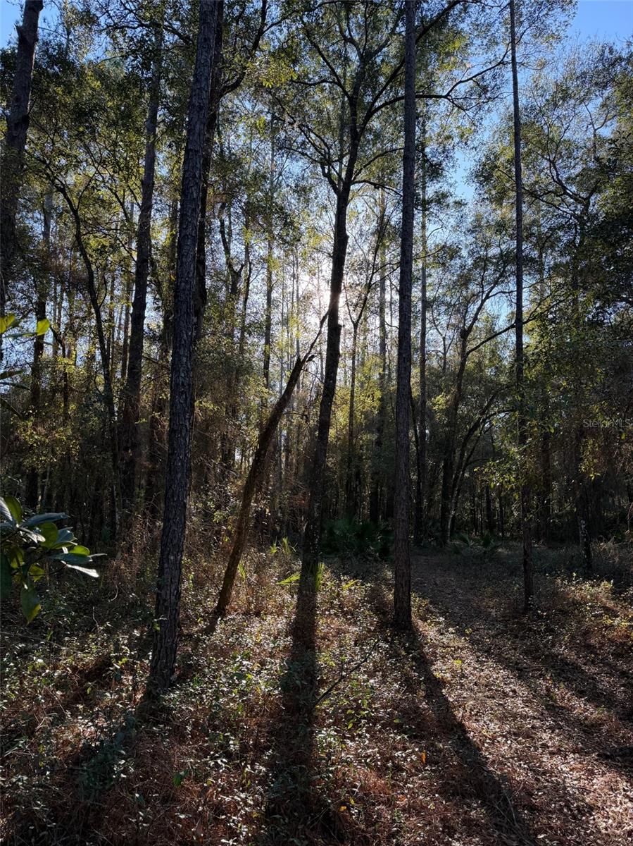 OCKLAWAHA ACRES - Land
