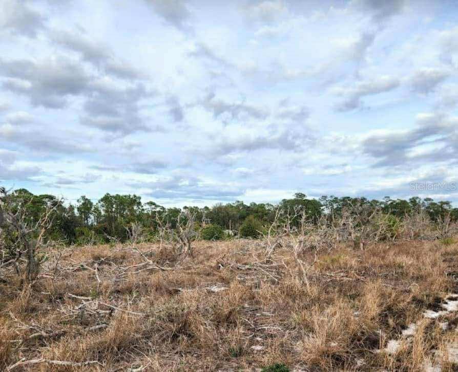 40K PRICE REDUCTION. SELLER MOTIVATED. Rare opportunity to own 10.21 high-and-dry acres in the Oakridge Estates community of Frostproof. Zoned Agricultural with no HOA. This parcel offers flexibility for residential construction, farming, or long-term land investment. The lot has electrical access nearby; well and septic will be required. Enjoy a peaceful rural setting just minutes from town. Adjoining parcels are also available, allowing for the potential to assemble nearly 50 contiguous acres.
