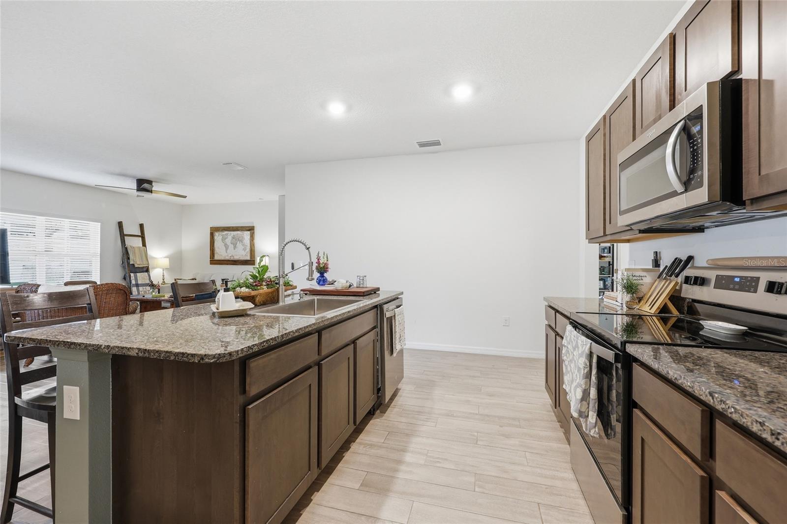 CHESTNUT VILLAGE - Residential