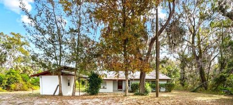 Photo of 17466 Lake Iola Road, Dade City, FL 33523 (MLS # TB8448994)