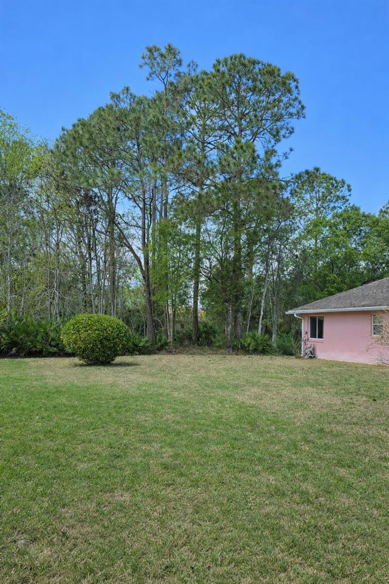 PALM COAST/WYNNFIELD SEC 18 - Residential