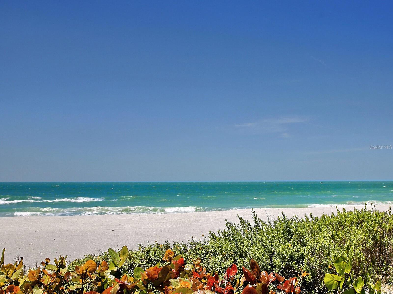 CASEY KEY - Residential