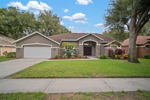 A home in VALRICO