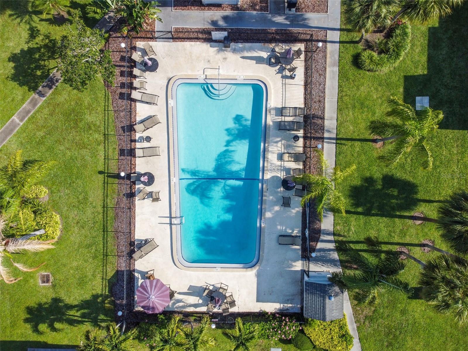 PALMS OF TARPON SPGS THE CONDO - Residential