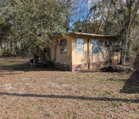 Photo of 4314 E Fort Apache Place, Dunnellon, FL 34434 (MLS # OM717753)