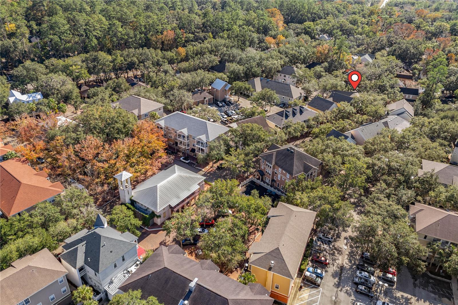 THE VILLAGE AT HAILE - Residential