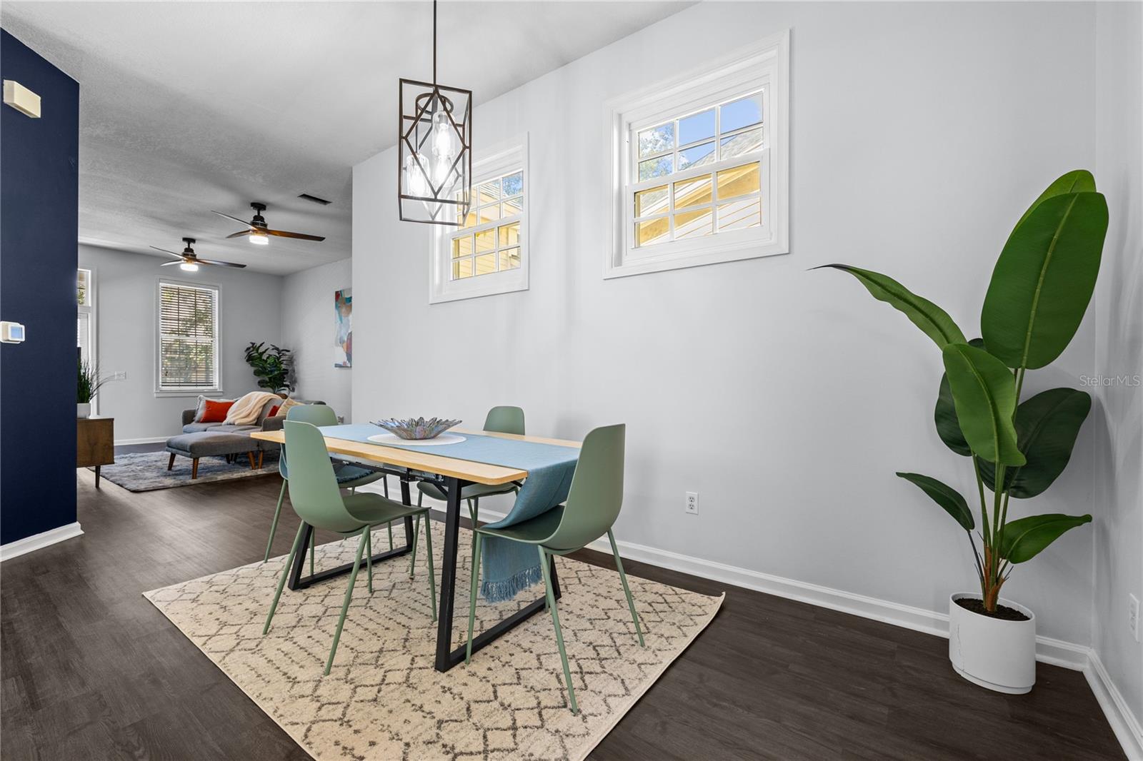 THE VILLAGE AT HAILE - Residential