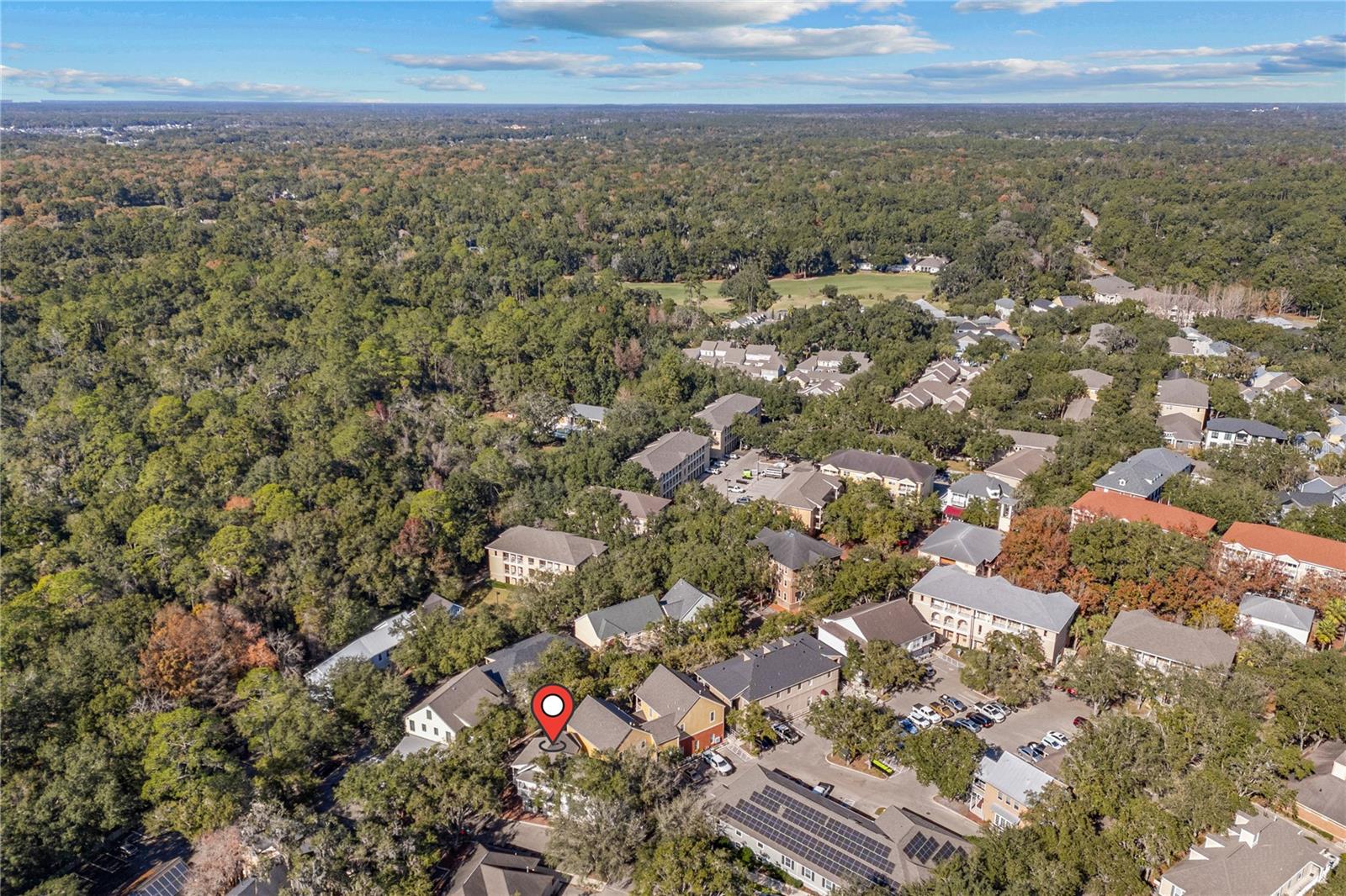 THE VILLAGE AT HAILE - Residential