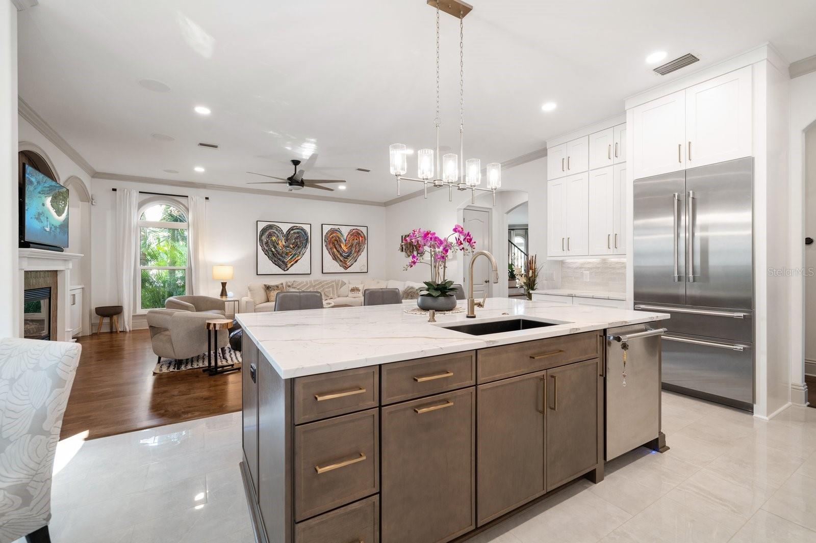 DAVIS ISLANDS - Residential