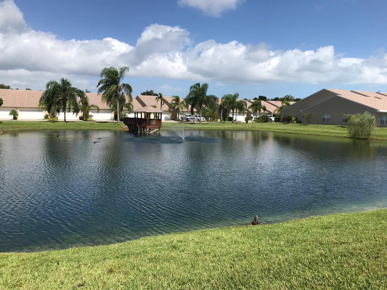 Hawks Cove - Residential Lease