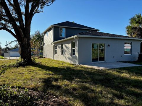 2903 TRAVELERS PALM DRIVE EDGEWATER FL 32141