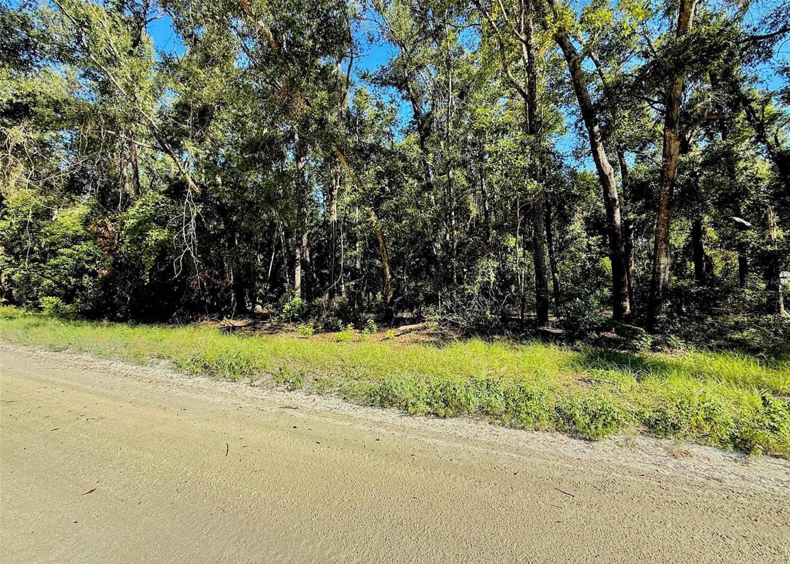 Almost a full acre of rural paradise! Enjoy low taxes and the peace of country living while staying close to the beautiful springs. The perfect spot to build the home of your dreams!