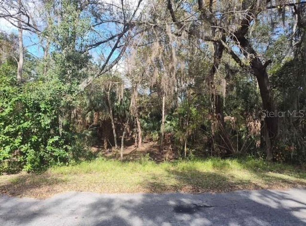 Photo of 5979 E Wingate St, Inverness, FL 34452 (MLS # G5105579)