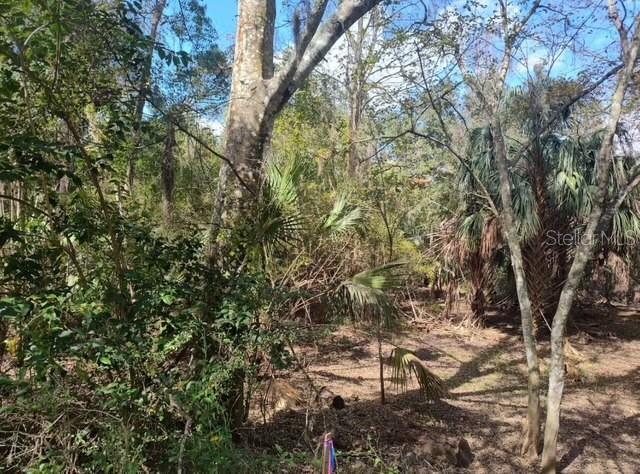 INVERNESS HIGHLANDS WEST - Land