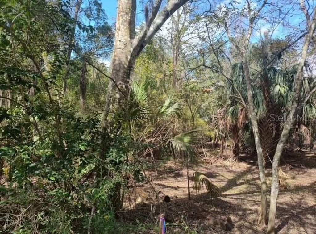 Photo of 5979 E Wingate St, Inverness, FL 34452 (MLS # G5105579)