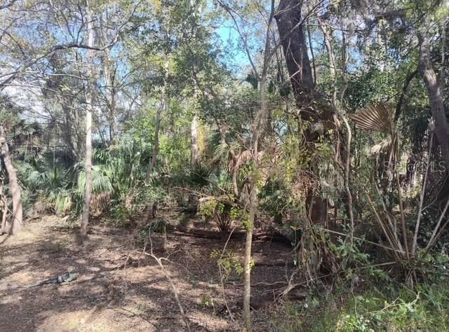 INVERNESS HIGHLANDS WEST - Land