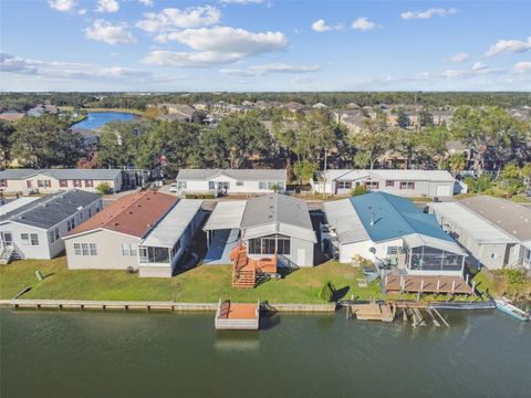 A home in RIVERVIEW