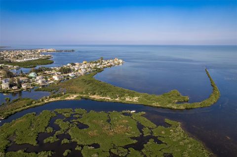 00 MCCRAY (43 ACRES) DRIVE HUDSON FL 34667