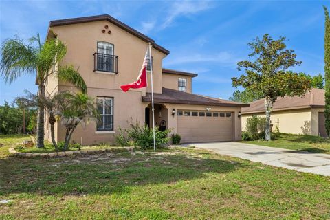 Photo of 3676 Briar Run Drive, Clermont, FL 34711 (MLS # O6406560)