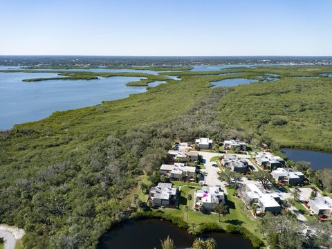 A home in NEW SMYRNA BEACH