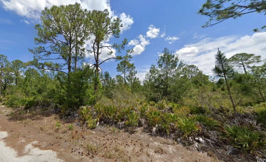 Completely surrounded by state-owned land! Great opportunity to own a secluded lot! Nestled in the heart of tranquility, this pristine .23 acre parcel, located in Highlands County is the perfect canvas to build your dream home. In close proximity to Fort Myers, Sarasota and the Greater Tampa Bay area, this slice of paradise in Lake Placid will not last long. Seller financing available!