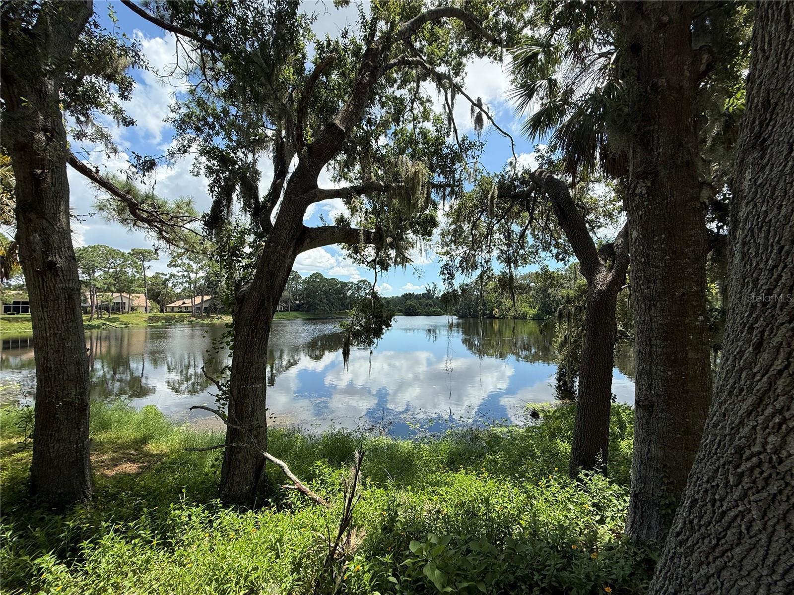 LONGWOOD VILLAS - Residential