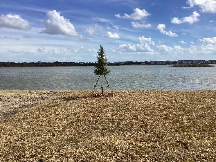 CATAMARAN COVE - PHASE I & II REPLAT - Residential