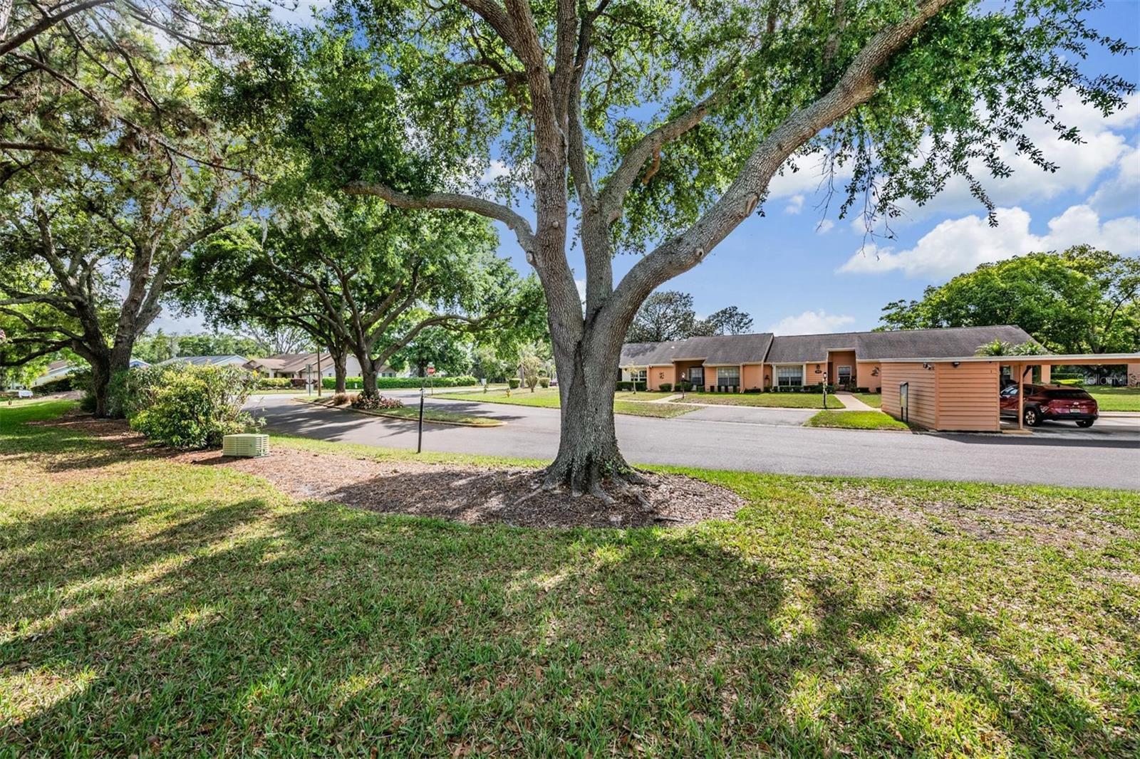 HERITAGE LAKE - Residential