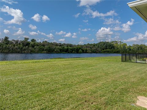 A home in LAND O LAKES