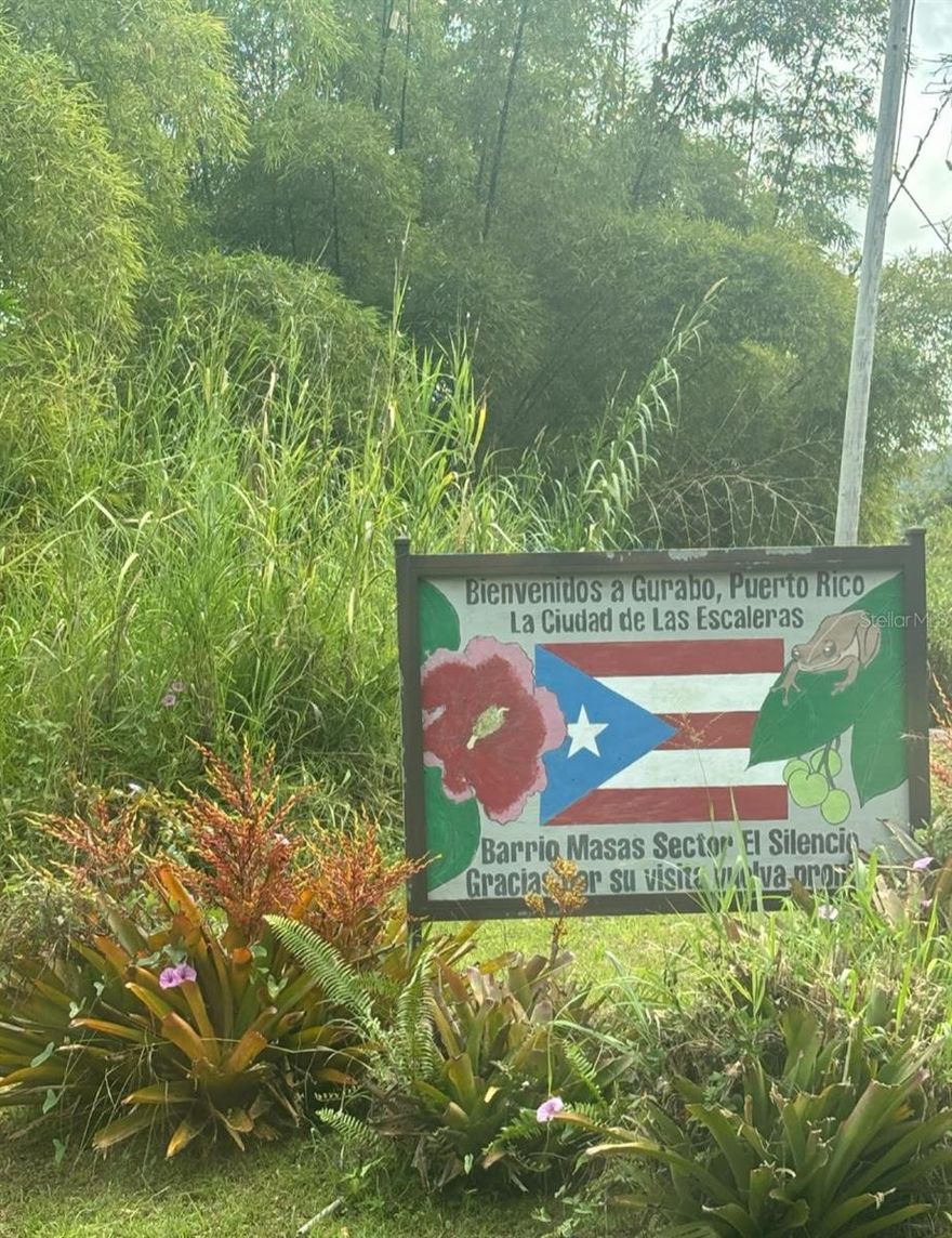 Exceptional opportunity to own 28.17 cuerdas (approximately 27.36 acres) of versatile land located in Barrio Masas, Gurabo. This expansive parcel is zoned Agrícola General / Rural General (Suelo Rústico), allowing for both residential and agricultural uses. The property’s highest and best use supports the development of one (1) or two (2) residential units and/or agricultural use, including crop cultivation. Its generous size provides ample space for a private residence, farmstead, or a combination of both. Normal utility easements for electric and telephone lines are observed in nearby land lots, supporting future development feasibility. The property is located in a quiet rural setting while remaining accessible to main roads and local amenities within Gurabo. An opportunity to acquire a substantial tract of land with multiple permitted uses in a desirable rural area of eastern Puerto Rico.