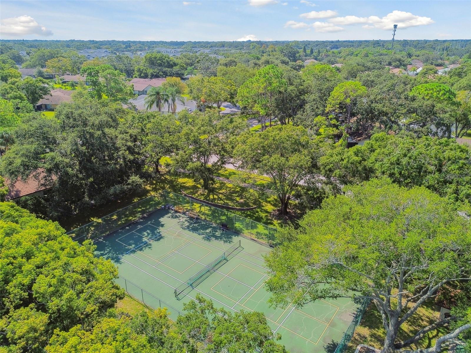 SCOTSDALE VILLA CONDO - Residential
