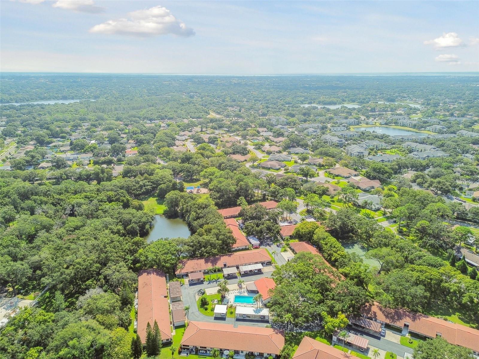 SCOTSDALE VILLA CONDO - Residential