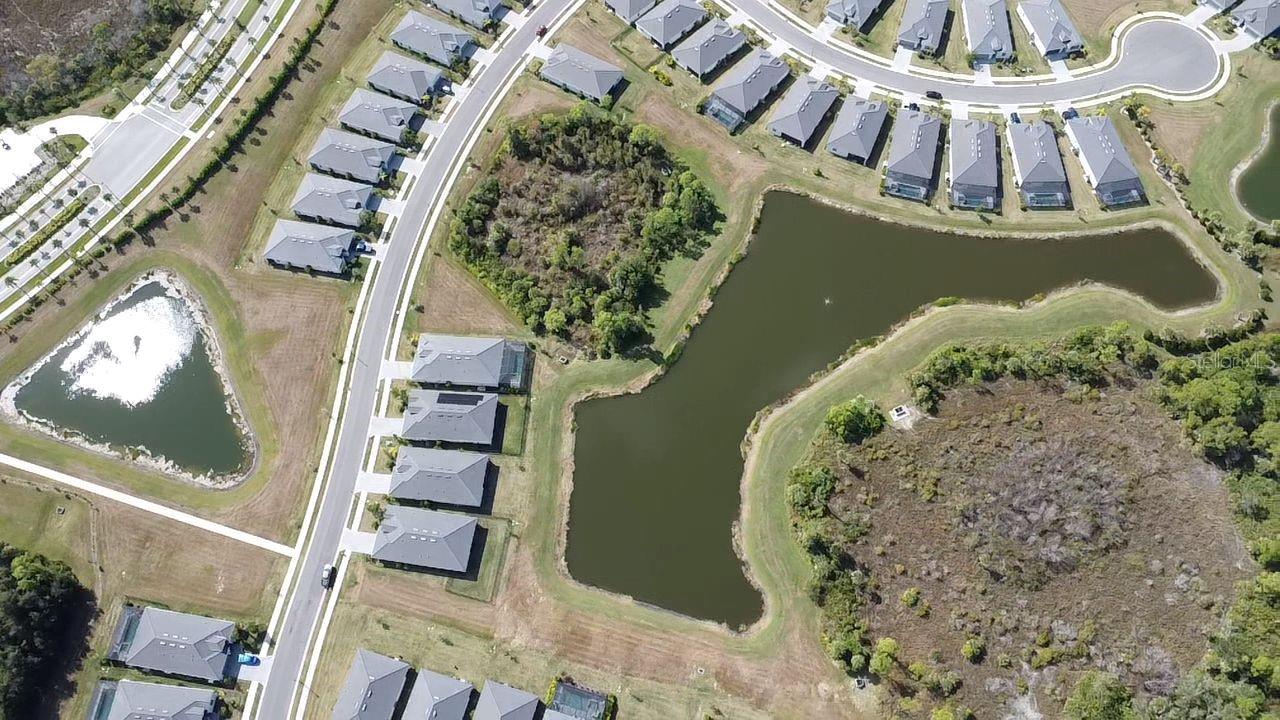 ANTIGUA/WELLEN PARK - Residential Lease