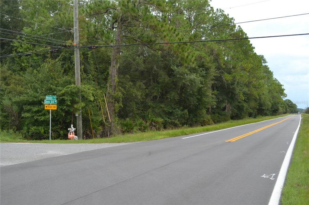 Photo of Deen Still Road W, Polk City, FL 33868 (MLS # O6440545)
